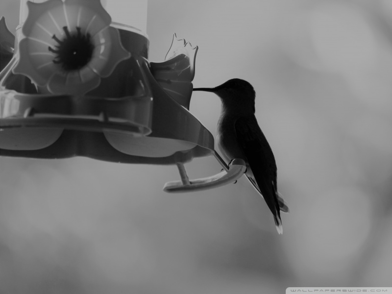 course-image-1