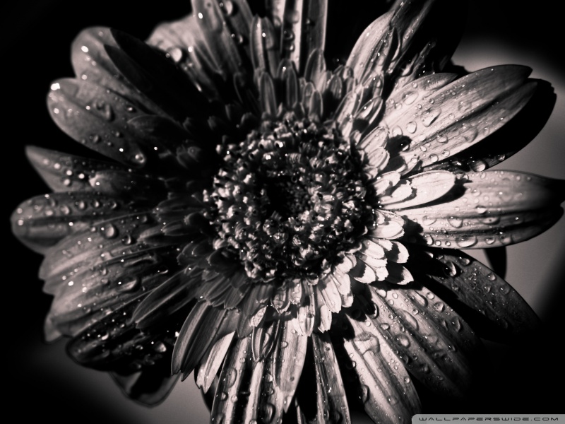 course-image-3