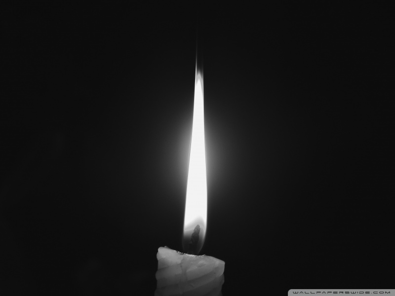 course-image-4
