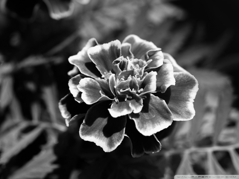 course-image-2